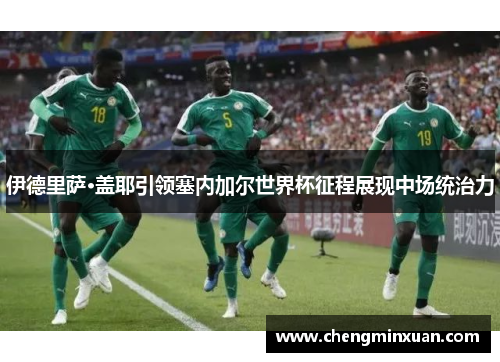 伊德里萨·盖耶引领塞内加尔世界杯征程展现中场统治力