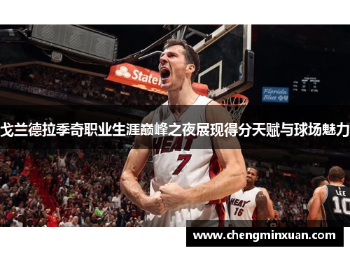 戈兰德拉季奇职业生涯巅峰之夜展现得分天赋与球场魅力