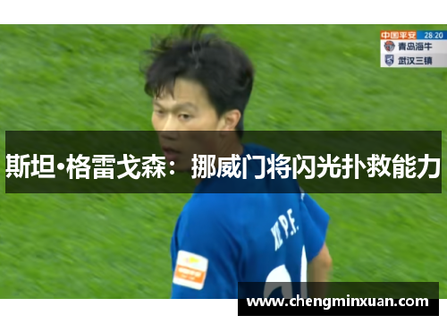 斯坦·格雷戈森：挪威门将闪光扑救能力