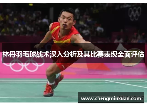 林丹羽毛球战术深入分析及其比赛表现全面评估