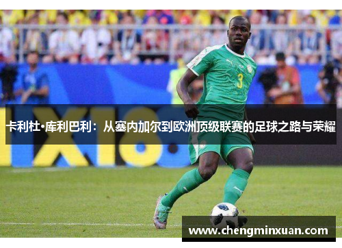 卡利杜·库利巴利：从塞内加尔到欧洲顶级联赛的足球之路与荣耀