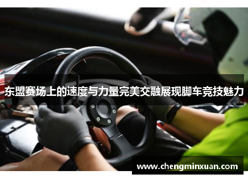 东盟赛场上的速度与力量完美交融展现脚车竞技魅力