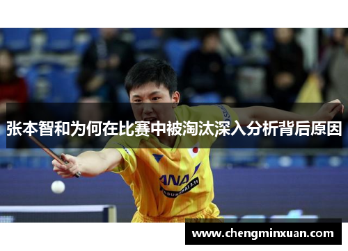 张本智和为何在比赛中被淘汰深入分析背后原因