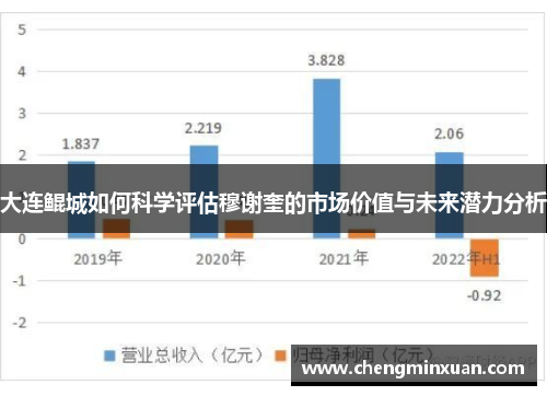 大连鲲城如何科学评估穆谢奎的市场价值与未来潜力分析