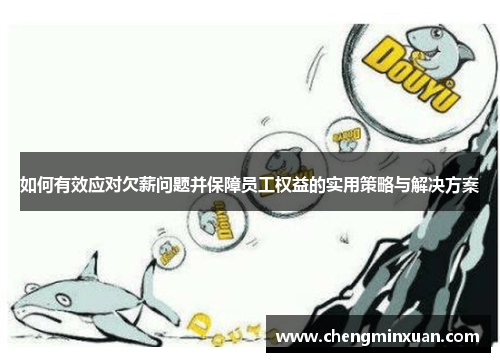 如何有效应对欠薪问题并保障员工权益的实用策略与解决方案
