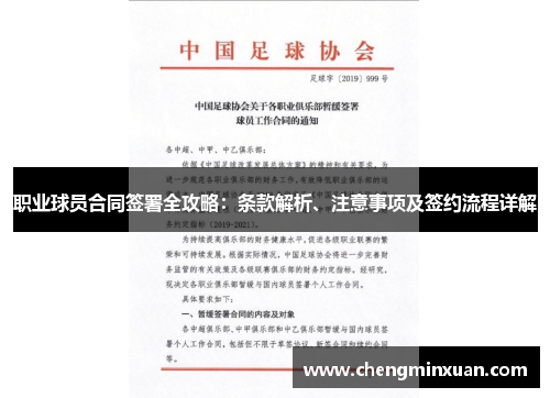职业球员合同签署全攻略：条款解析、注意事项及签约流程详解